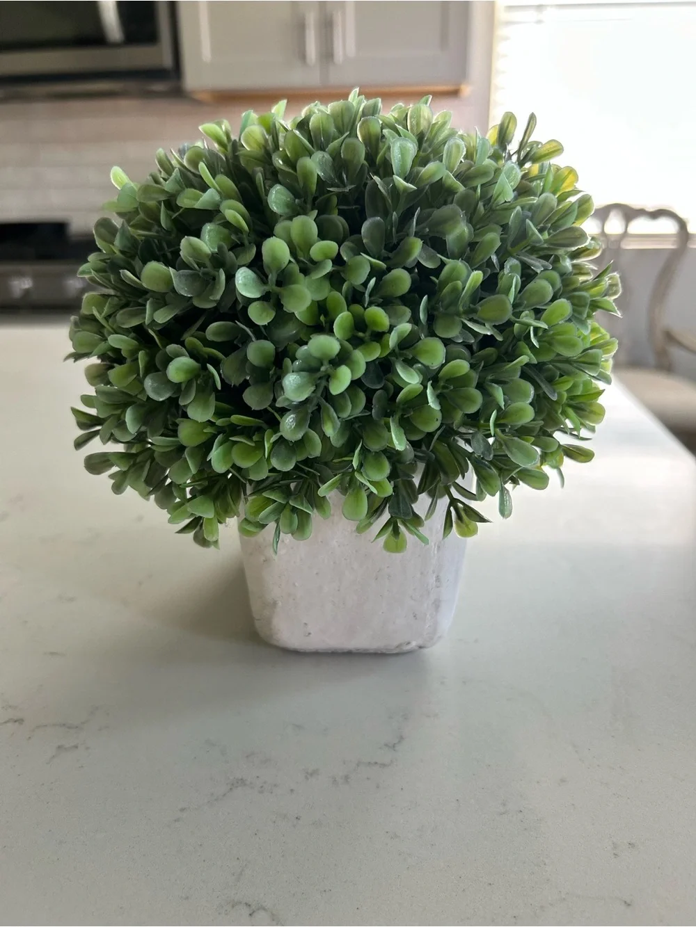 Faux boxwood plant in heavy planter